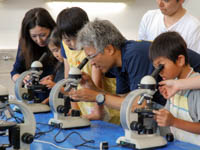 化石骨の断面を顕微鏡でじっくり観察します。