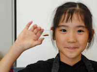 今日つくった恐竜の化石骨の薄片です。