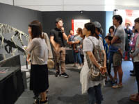 特別展ツアー「特別展の展示解説第1回」のイメージ