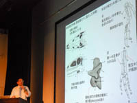 特別展講演会「獣脚類恐竜の進化と鳥類の起源」のイメージ