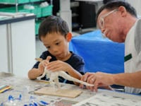 恐竜ふれあい教室「親子で恐竜模型をつくろう！」のイメージ
