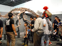 特別展ツアー「特別展の展示解説第3回」のイメージ