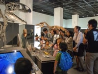 特別展ツアー「特別展の展示解説第4回」のイメージ