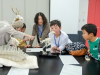 色々な箇所について、同じ所、違うところを探します