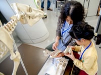 形状を調べて、どのような仕組みなのか考えます