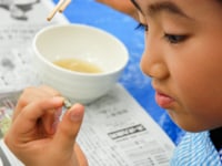 「これかな？金いろにひかってるぞ！」