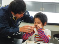 小さなアンモナイトをいくつも観察します