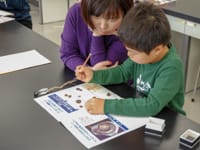 観察して分かった特徴をメモします