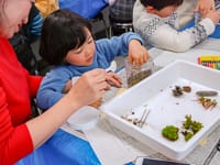 びんのなかに、すきなようにパーツをおきます