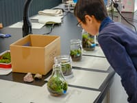 みなさん、いろいろな恐竜の世界をつくりました