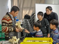 博物館自然教室「肉食獣の歯を観察しよう」のイメージ