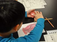 スケッチに描きながら特徴を調べます