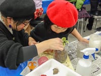 恐竜ふれあい教室「テラリウムで恐竜の世界を作ろう！」のイメージ