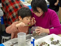 びんのなかに、すきなようにパーツをおきます