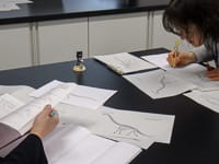 骨について調べた特徴をメモしていきます。