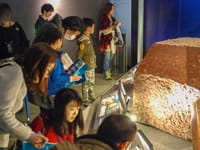 観察ノートのチェックポイントを確かめています。