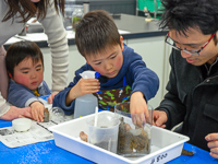 びんのなかに、すきなようにパーツをおきます