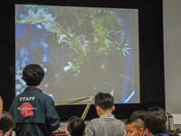 つくった恐竜の世界をたんけんします！