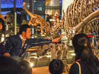 博物館自然教室「なぞの恐竜を研究しよう」のイメージ