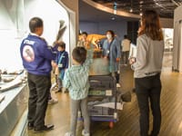 さあ、皆さんの観察と推理は当たっていましたか？