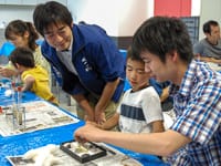 博物館自然教室「いろんな石を見くらべてみよう」のイメージ