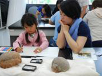 博物館自然教室「恐竜の卵の色って？」のイメージ