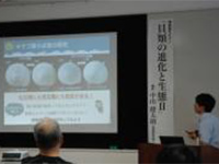 博物館セミナー「貝類の進化と生態Ⅱ」のイメージ