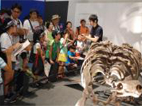 特別展ツアー「特別展の展示解説第2回」のイメージ