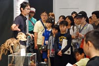特別展ツアー「特別展の展示解説第3回」のイメージ