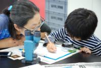 博物館自然教室「ジュラ紀の植物化石をみよう」のイメージ