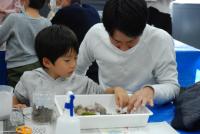 恐竜ふれあい教室「親子でオリジナル恐竜テラリウム冒険」のイメージ