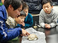 博物館自然教室「貝を観察しようⅡ」のイメージ