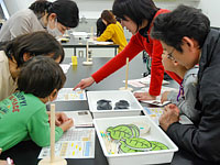 恐竜ふれあい教室「進化を探る！『系統樹やじろべえ』をつくろう！」のイメージ