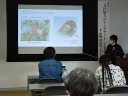 博物館セミナー「北陸地方のアンモナイト~来馬層群編」のイメージ