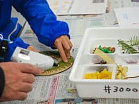子ども工作教室「もうすぐクリスマス!恐竜リースをつくろう」のイメージ