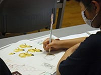 子どもセミナー「角竜の顔」のイメージ