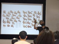 角竜の頭には色々な形があります