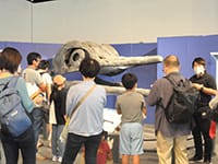 特別展ツアー「特別展の展示解説第3回」のイメージ