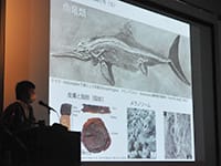 特別展講演会「海生爬虫類が教えてくれること」のイメージ