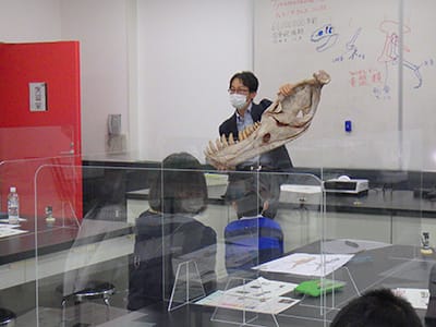 博物館自然教室「ティラノサウルスのからだのつくりをしろう」のイメージ