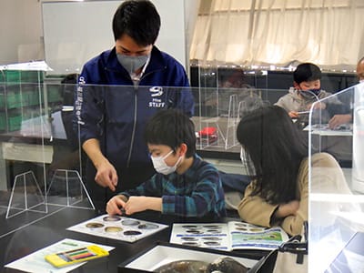 博物館自然教室「貝を観察しようⅢ〜淡水・汽水編〜」のイメージ