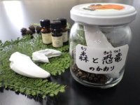 子ども工作教室「恐竜のかおりをつくってみよう!?」のイメージ