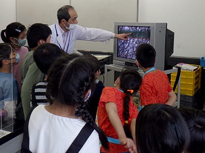 博物館自然教室「恐竜時代の木の化石をしらべよう」のイメージ