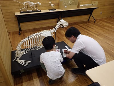 博物館自然教室「骨のかけらから動物の正体を当てよう」のイメージ
