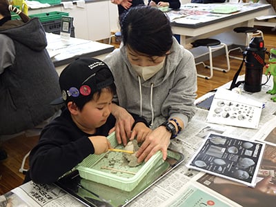 博物館自然教室「貝を観察しようⅤ〜新生代の貝化石〜」のイメージ