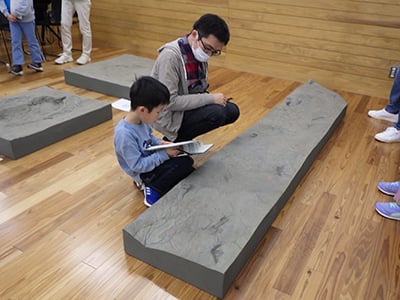博物館自然教室「足跡の正体を解き明かそう」のイメージ