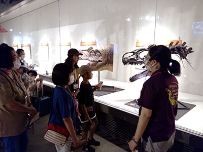特別展ツアー「特別展の展示解説 第2回」のイメージ