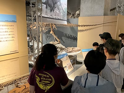 特別展ツアー「特別展の展示解説 第4回」のイメージ