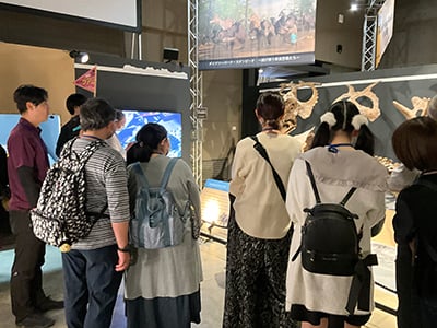 特別展ツアー「特別展の展示解説 第6回」のイメージ