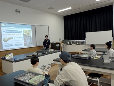 博物館自然教室「貝を観察しよう！第６弾 〜カタツムリ編〜」のイメージ